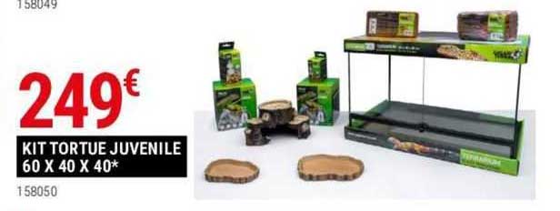 kit tortue juvenile 60 x 40 x 40
