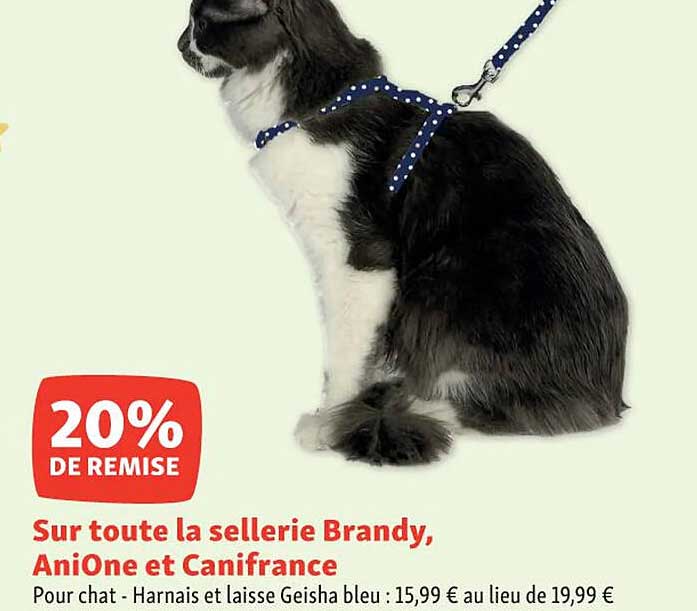 la sellerie brandy, aniOne et canifrance