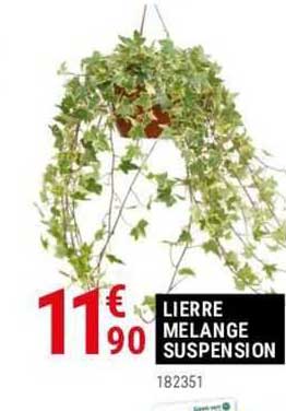 lierre mélange suspension