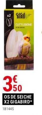 Os De Seiche X 2 Gigabird