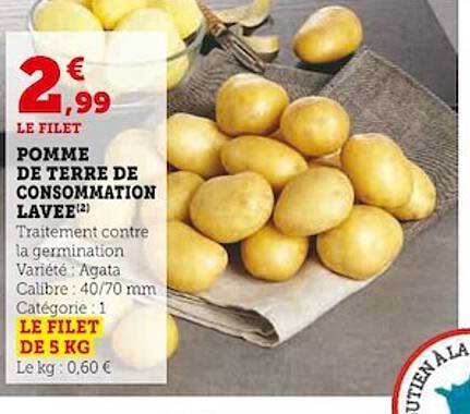 Pomme De Terre De Consommation Lavée