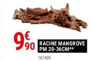 racine mangrove pm 20-36 cm