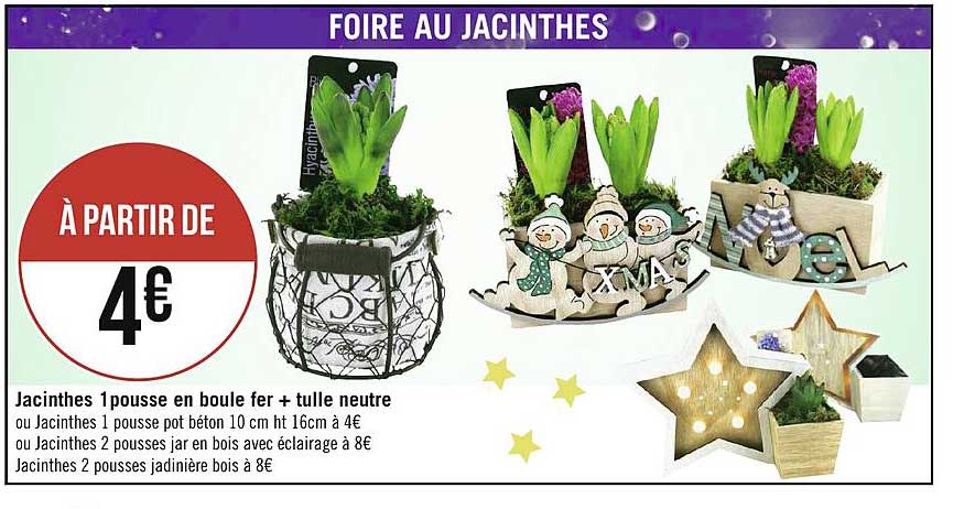 jacinthes 1 pousse en boule fer + tulle neutre