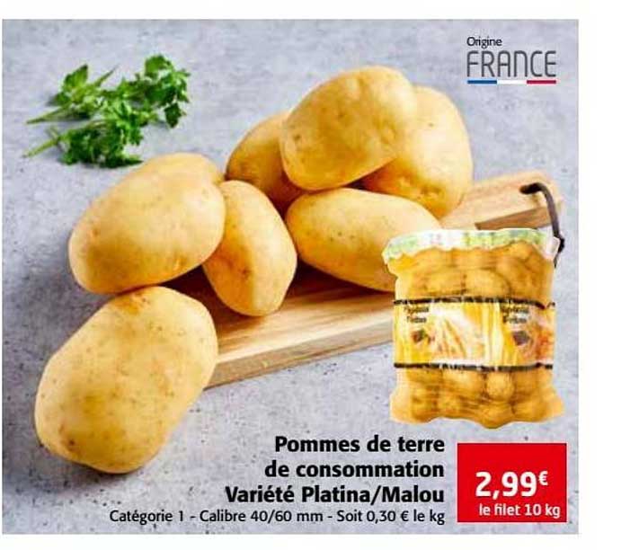 pommes de terre de consommation variété platina malou
