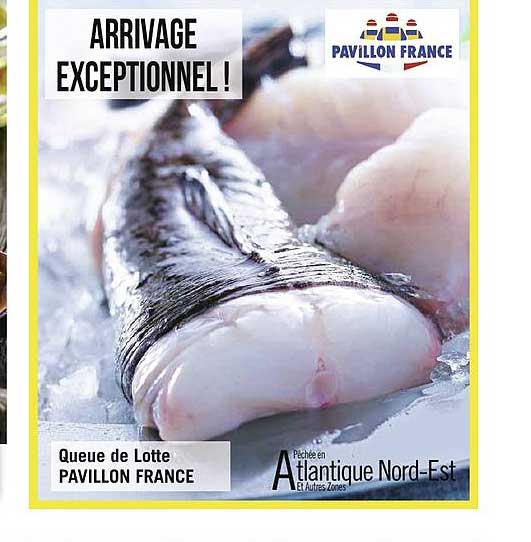 queue de lotte pavillon france