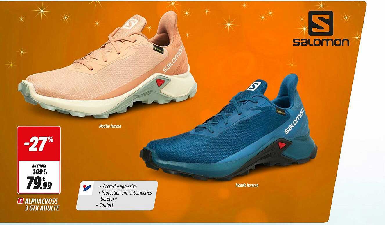 alphacross 3 gtx adulte salomon