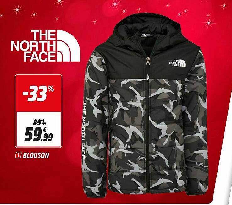 blouson the north face