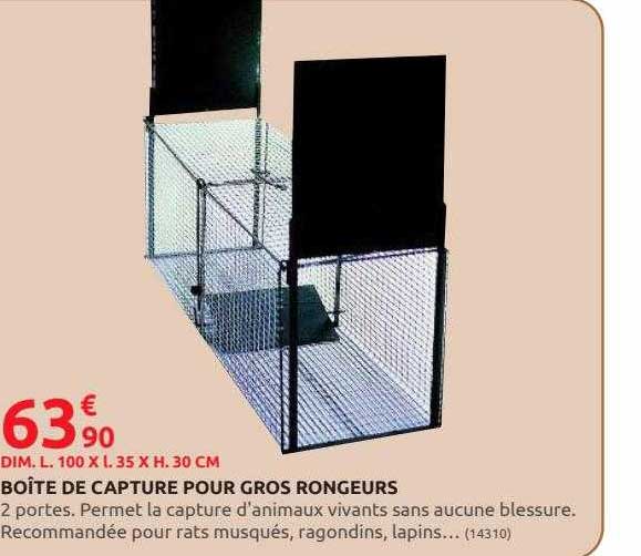 Boîte De Capture Pour Gros Rongeurs