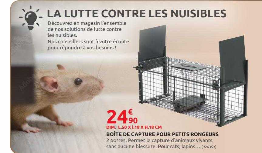 boîte de capture pour petits rongeurs