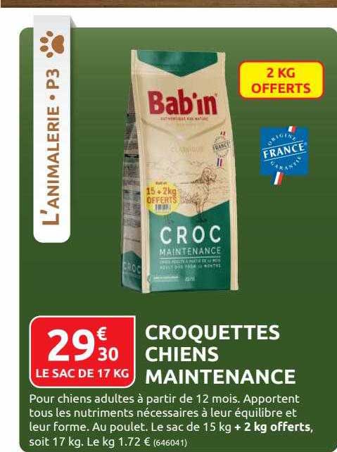 croquettes chiens maintenance