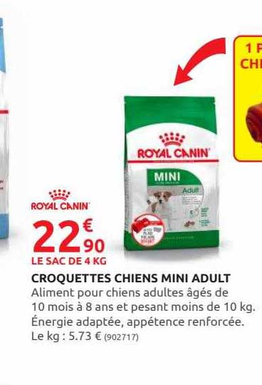 croquettes chiens mini adult royal canin