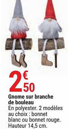 gnome sur branche de bouleau