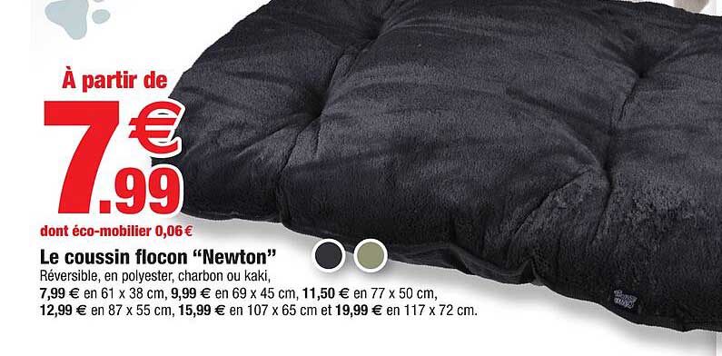 le coussin flocon "newton"