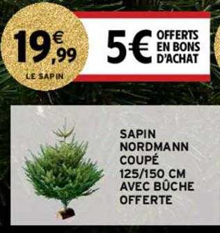 sapin nordmann coupé 125-150 cm avec bûche offerte