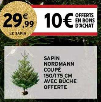 sapin nordmann coupé 150-175 cm avec bûche offerte