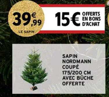 sapin nordmann coupé 175-200 cm avec bûche offerte