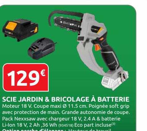 Scie Jardin & Bricolage à Batterie