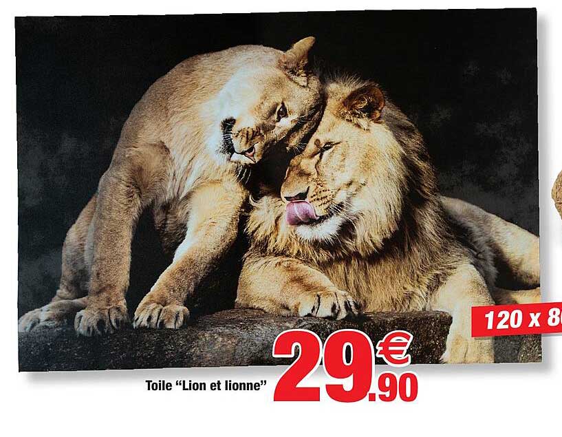 Toile "lion Et Lionne"