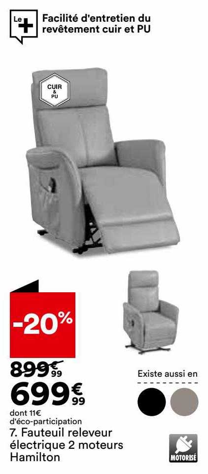 fauteuil releveur électrique 2 moteurs hamilton