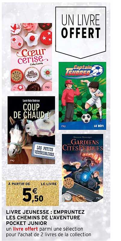 livre jeunesse : empruntez les chemins de l'aventure pocket junior