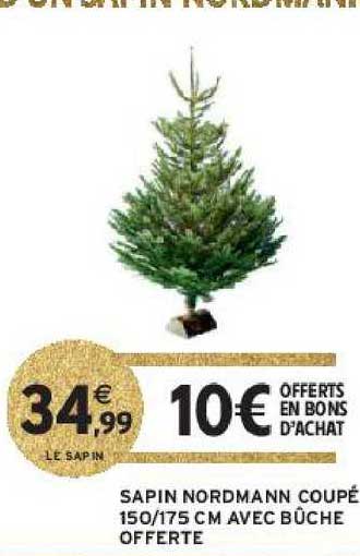 sapin nordmann coupé 150-175 cm avec bûche offerte