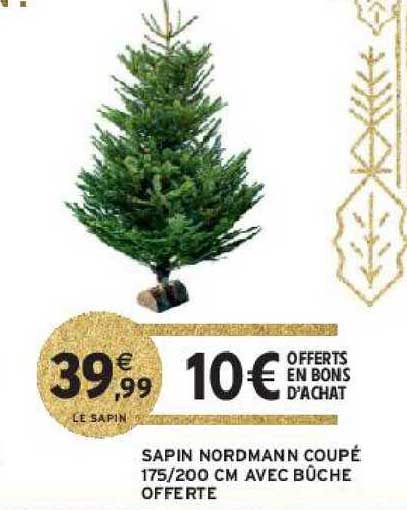 sapin nordmann coupé 175-200 cm avec bûche offerte