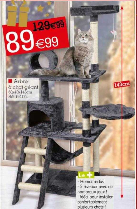 Arbre à Chat Géant