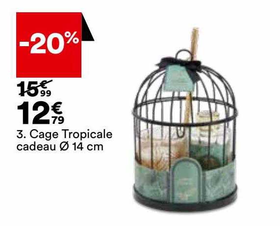 Cage Tropicale Cadeau ø 14 Cm