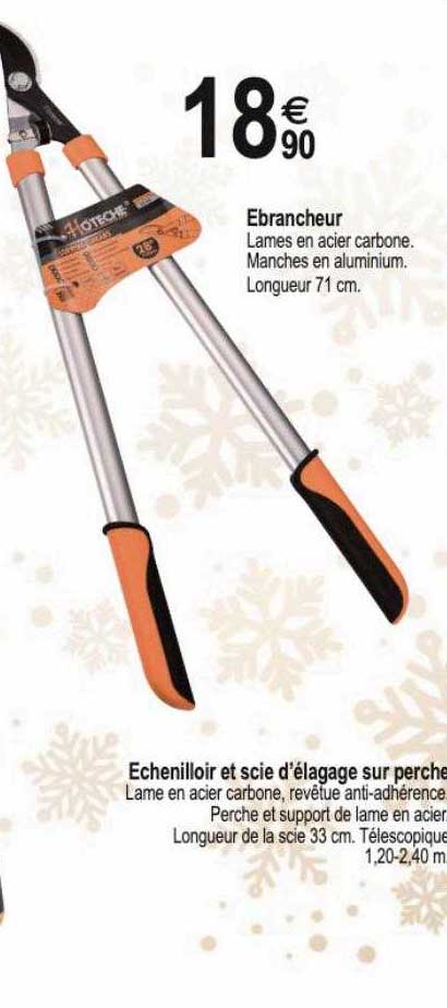 ébrancheur, échenilloir Et Scie D'élagage Sur Perche