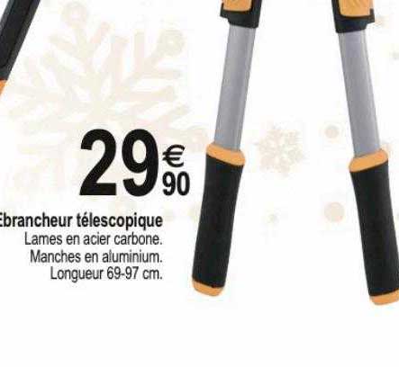 ébrancheur télescopique