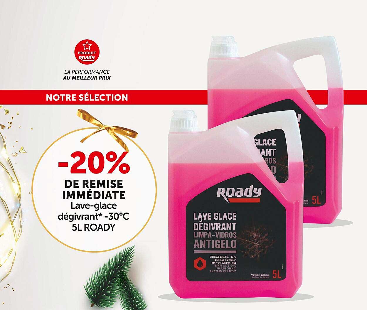 lave-glace dégivrant -30°c 5l roady