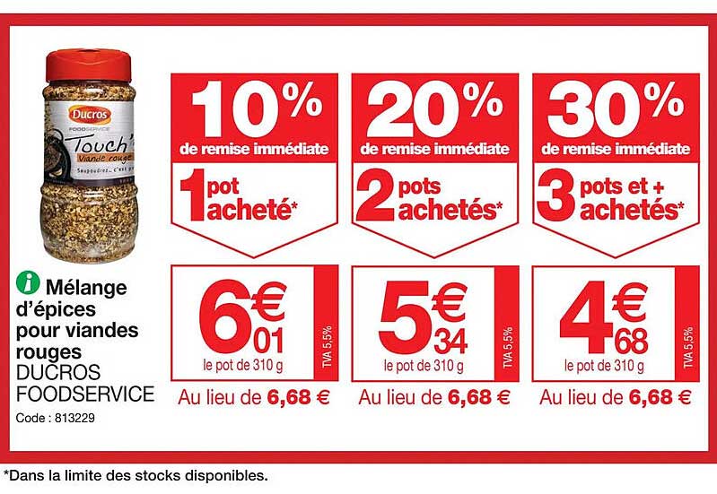 mélange d'épices pour viandes rouges ducros foodservice