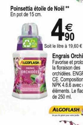 poinsettia étoile de noël, engrais orchidées algoflash