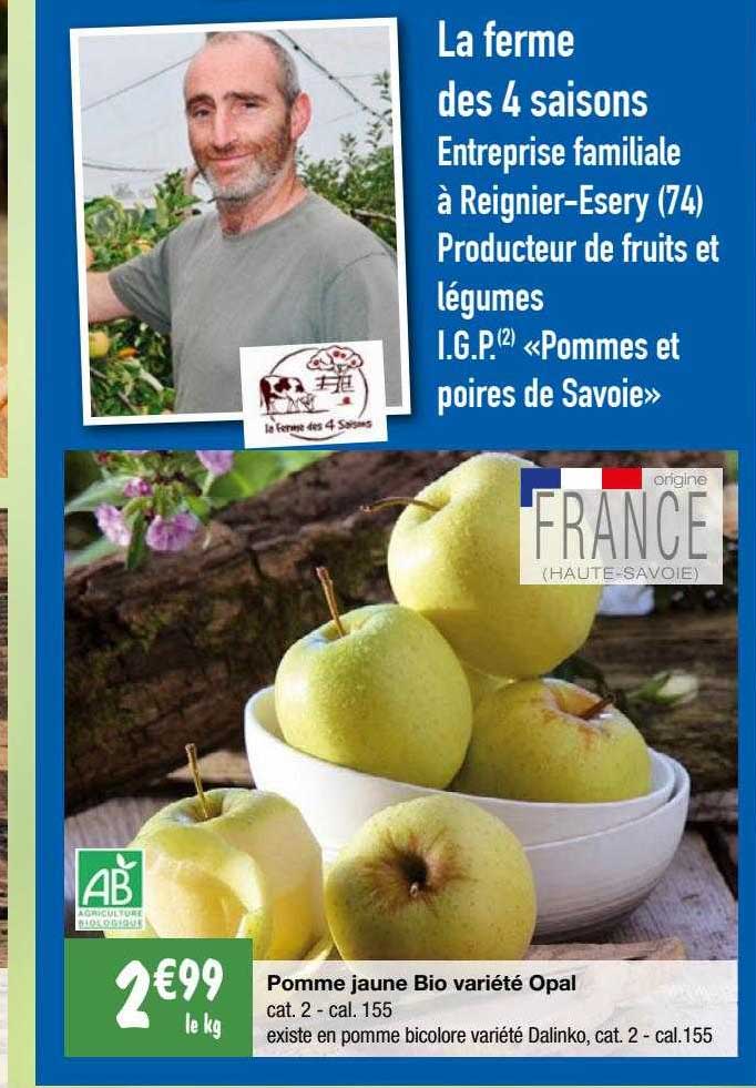 pomme jaune bio variété opal