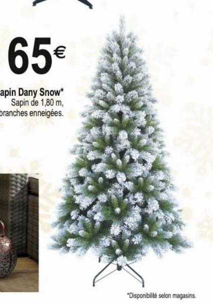 sapin dany snow