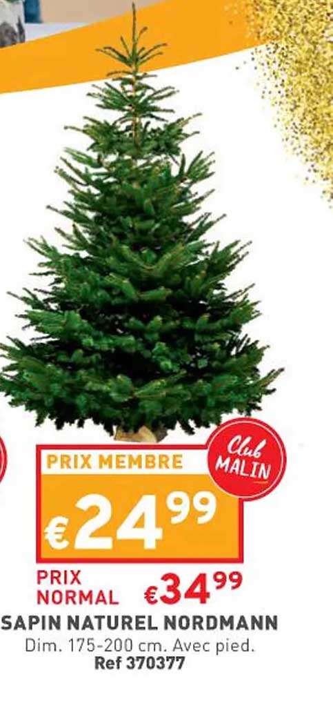 sapin naturel nordmann