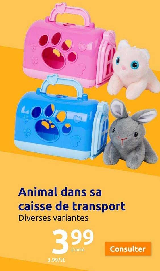 animal dans sa caisse de transport