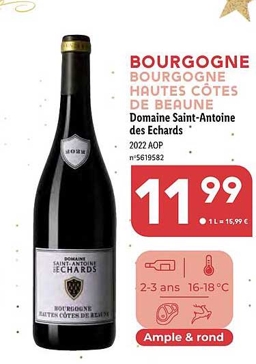 Borgogne  Hautes Côtes De Beaune Domaine Saint-antoine Des Echards 2022 Aop