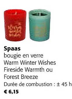 bougie en verre warm winter wishes fireside warmth ou forest breeze spaas