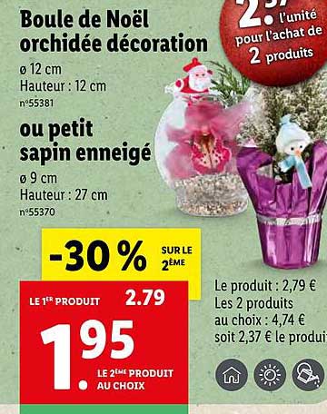 boule de noël orchidée décoration ou petit sapin enneigé -30% sur le 2ème