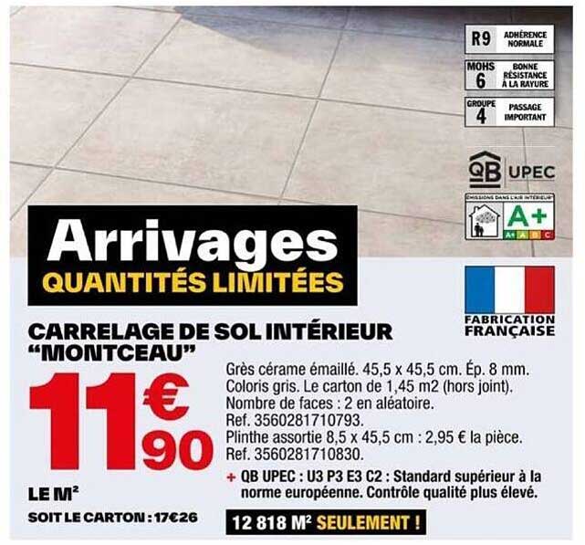 Carrellage De Sol Intérieur "montceau"