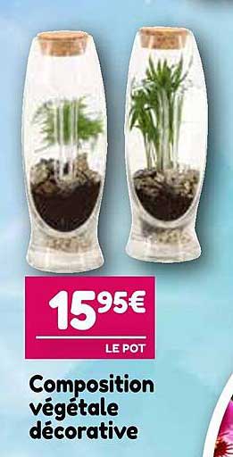 composition végétale  décorative