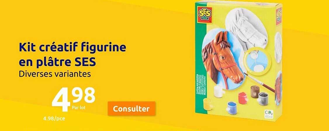 kit créatif figurine en plâtre ses