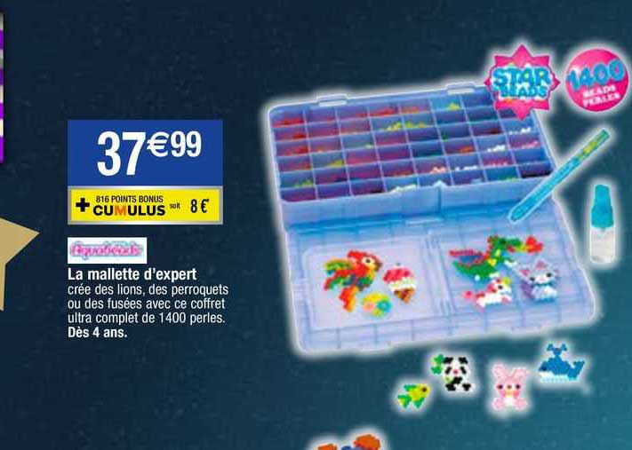 la mallette d'expert