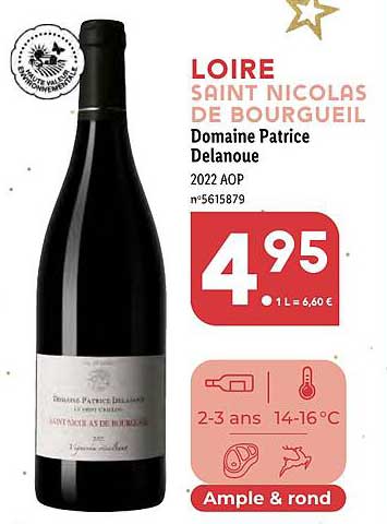 loire saint nicolas de borgeuil domaine patrice delanoue