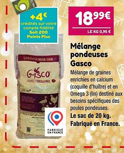 mélange pondeuses gasco