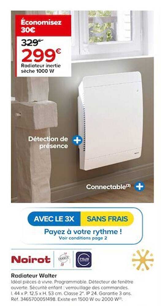 Radiateur Inertie Sèche 1000 W Walter Noirot