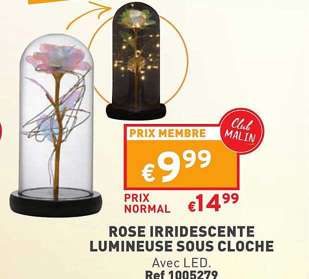 rose irridescente lumineuse sous cloche