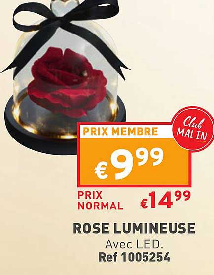 Rose Lumineuse