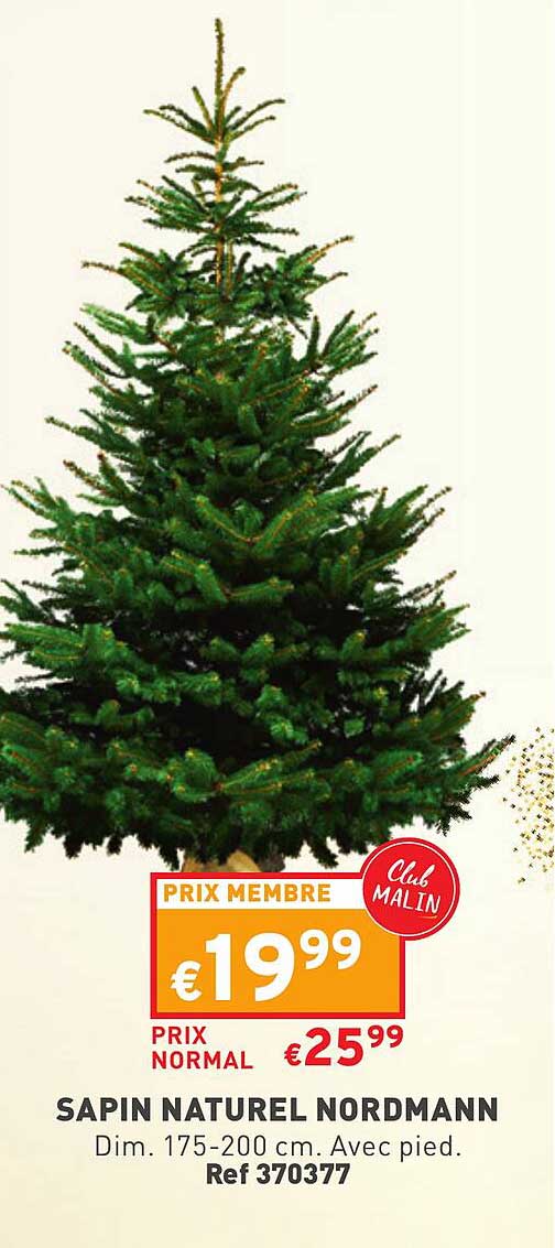 sapin naturel nordmann
